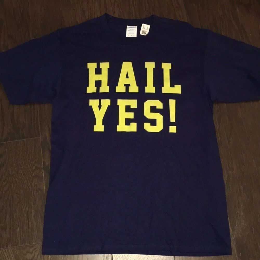 Hail Yes! Blue & Maize Lettered Michigan Wolverines Statement Tee T shirt M - Picture 1 of 2